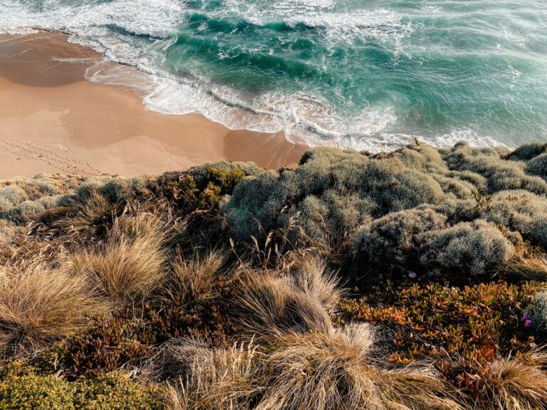 Great Ocean Road, Australien