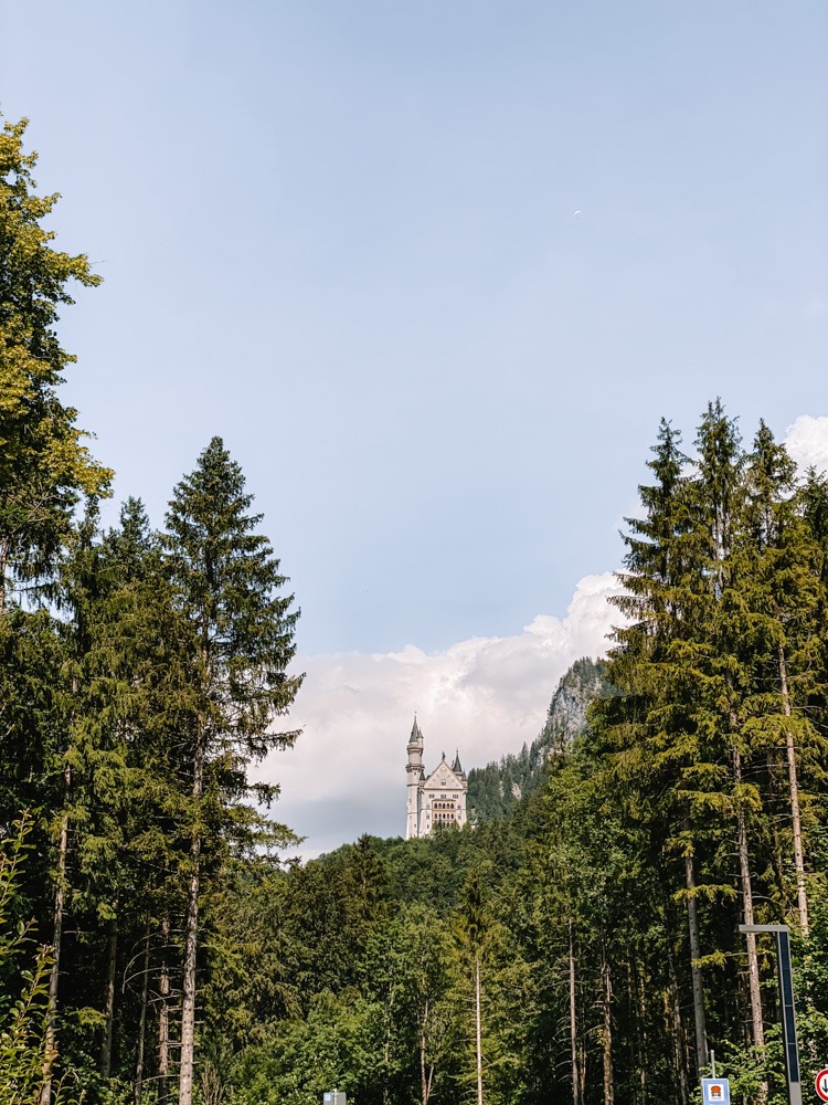 Blick auf das Schloss Neuschwanstein