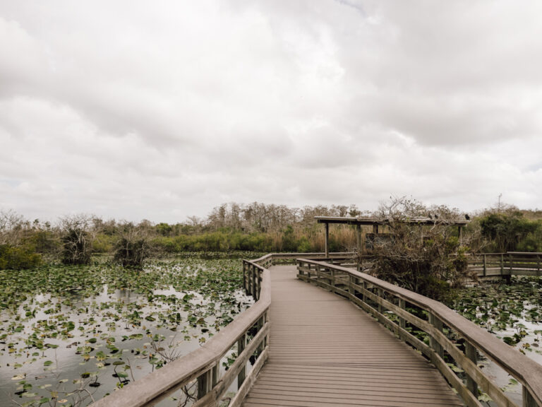 Everglades Nationalpark Anhinga Trail