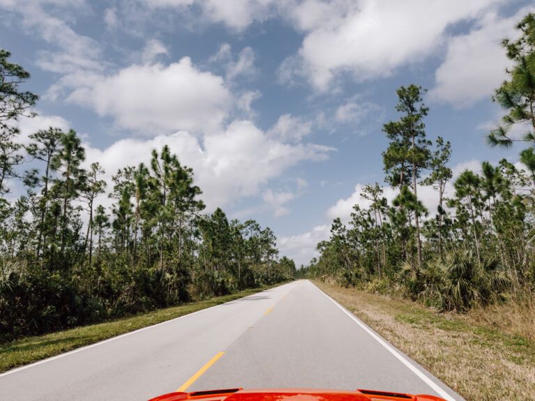 Everglades NationalparkSelbstfahrer Mietwagen