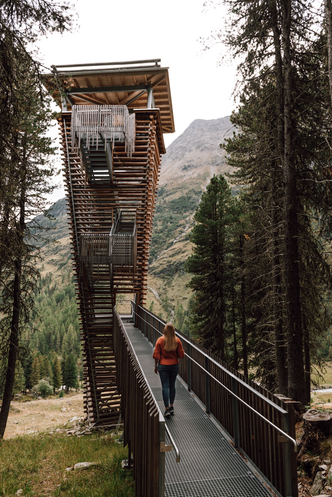 wandern Oberhauser Zirbenwald Osttirol Beobachtungsturm