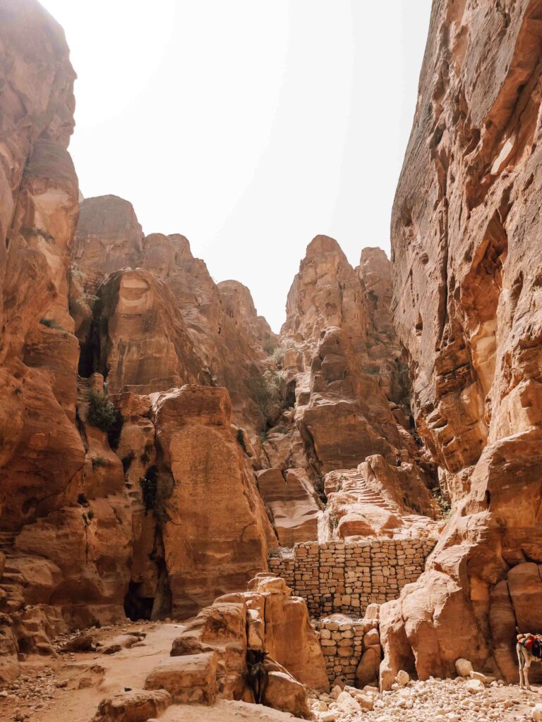 Jordanien Petra Schatzhaus Viewpoint Aussichtspunkt Guide