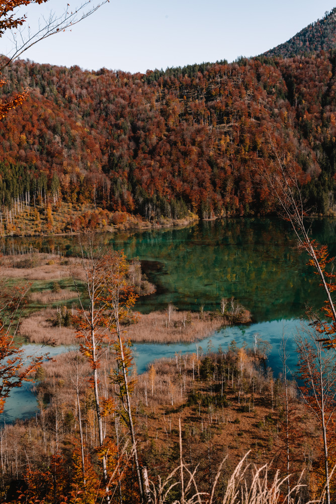 Almsee Ameisstein Wanderung Aussicht